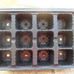 12 Cavity Seedling Tray